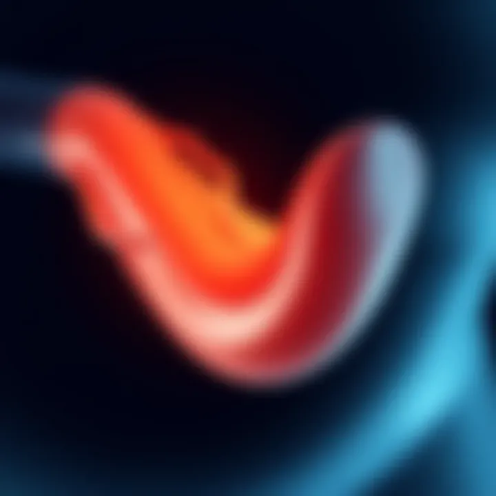 Illustration depicting curved anatomy of the penis affected by Peyronie's disease